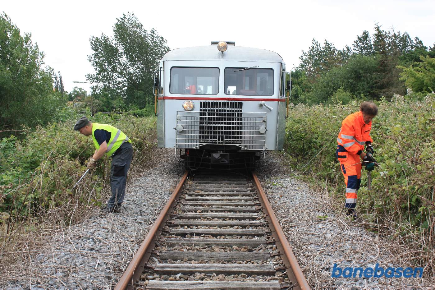 2 medlemmer er i fuld gang med at klippe brombær langs sporet 2 medlemmer er i fuld gang med at klippe brombær langs sporet