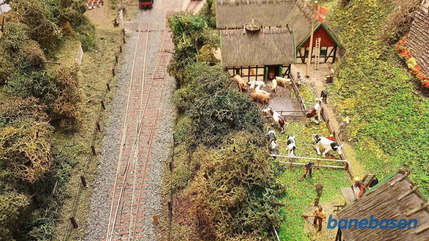 I Saunte er en gård, men fotografen har måtte improvisere, da kælderrummet ikke er stort nok I Saunte er en gård, men fotografen har måtte improvisere, da kælderrummet ikke er stort nok