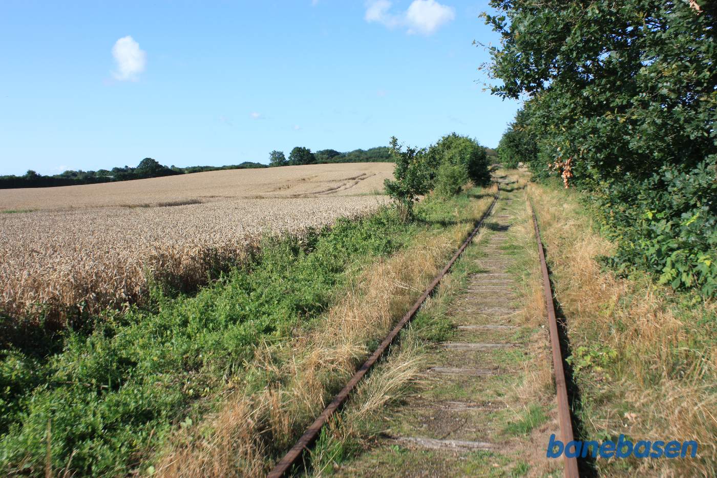 Vi er ude på strækningen med kornmarker til venstre