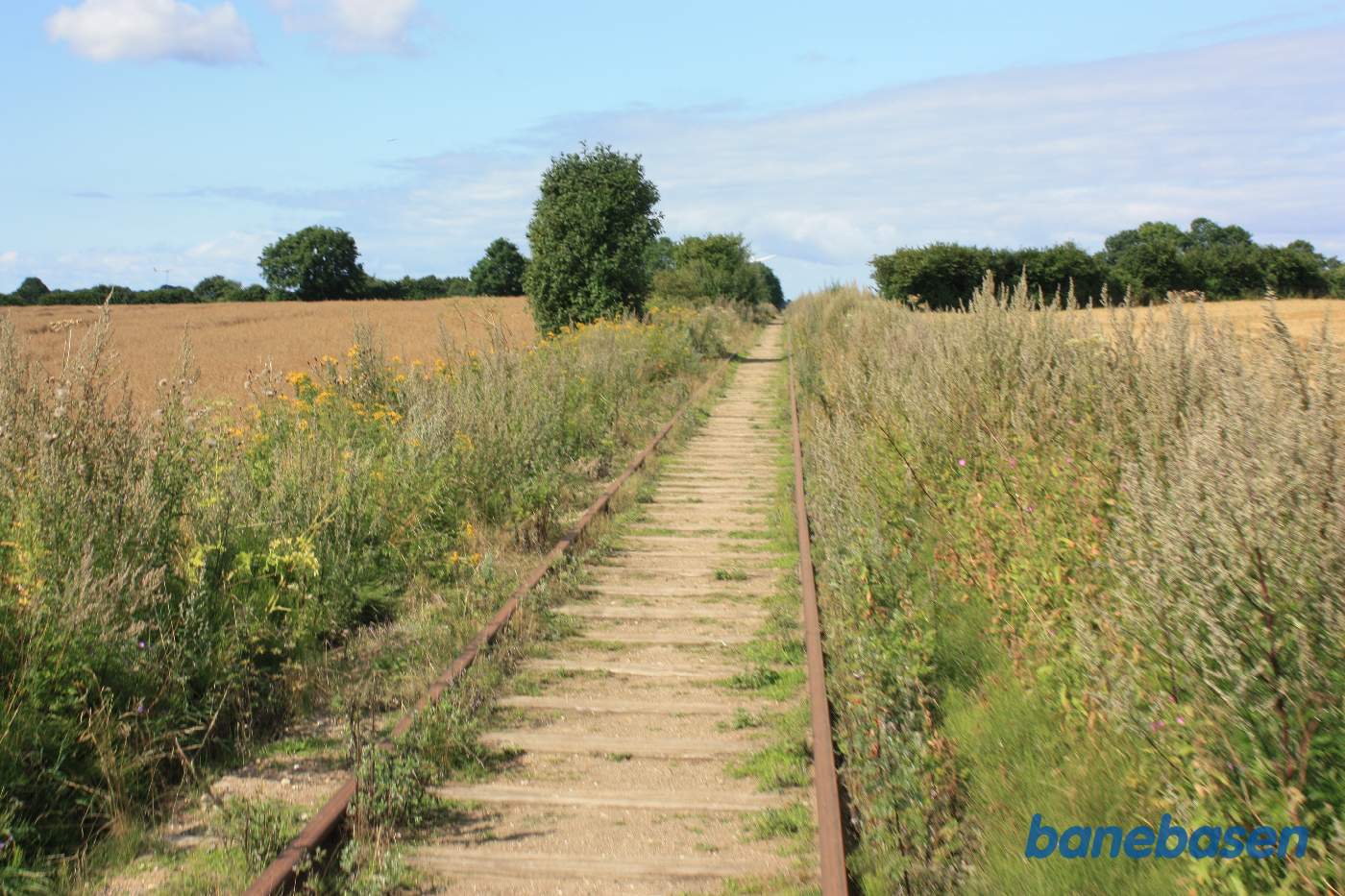 Vi er ude på strækningen med kornmarker på begge sider