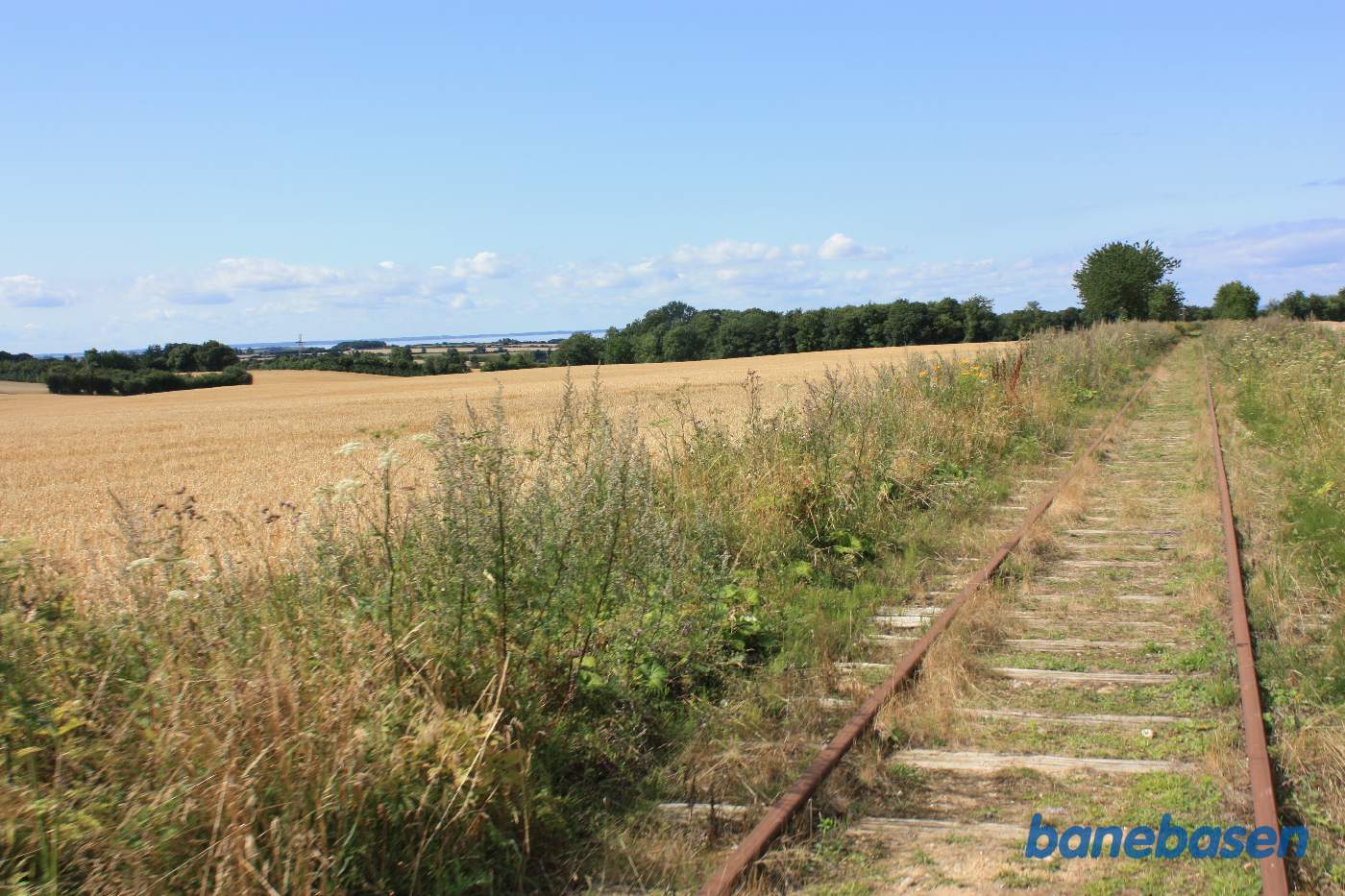 Efter Ebberupvej får vi det første glimt af Lillebælt ude til venstre