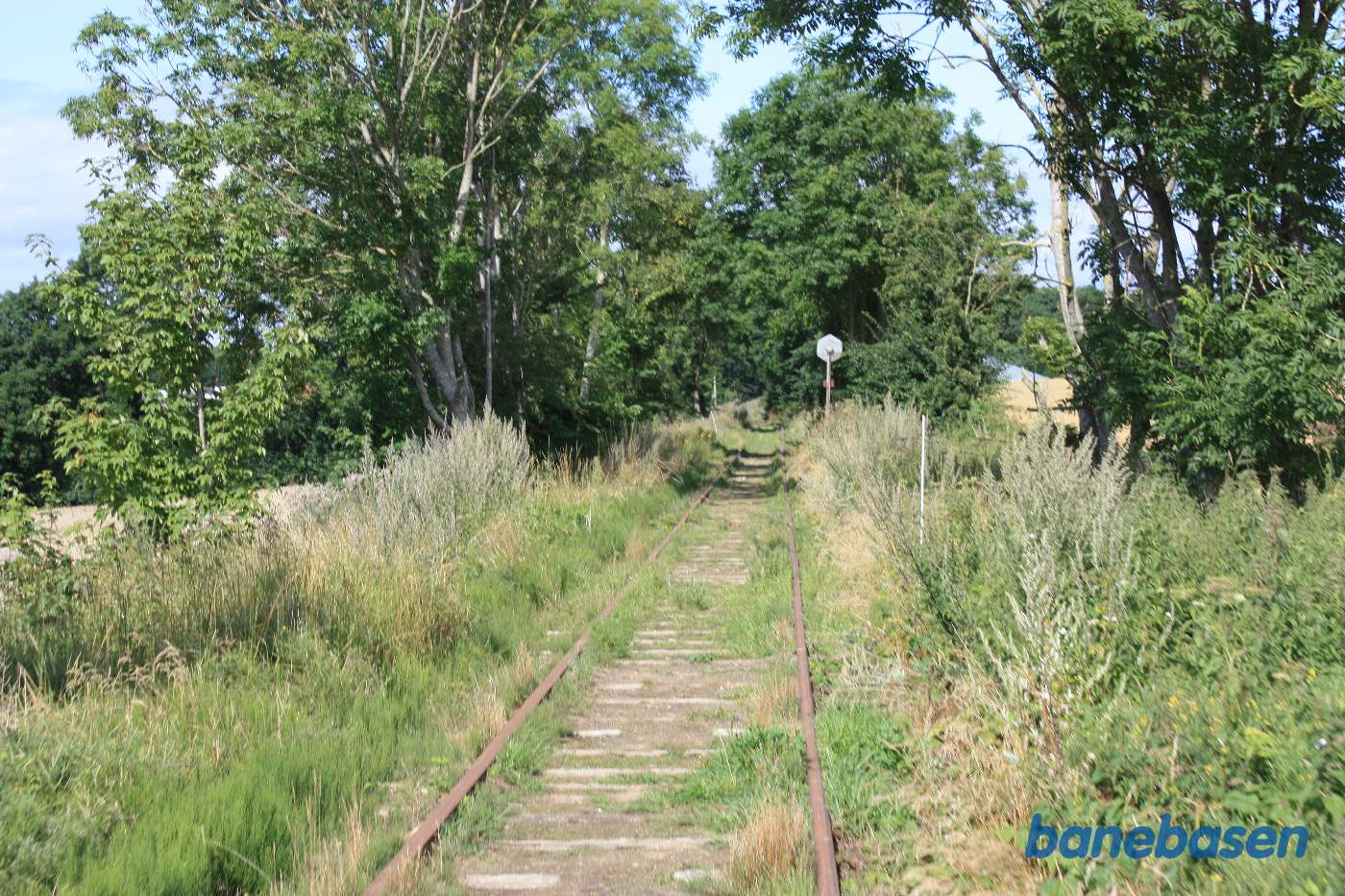 Turen fortsætter ind mellem træerne