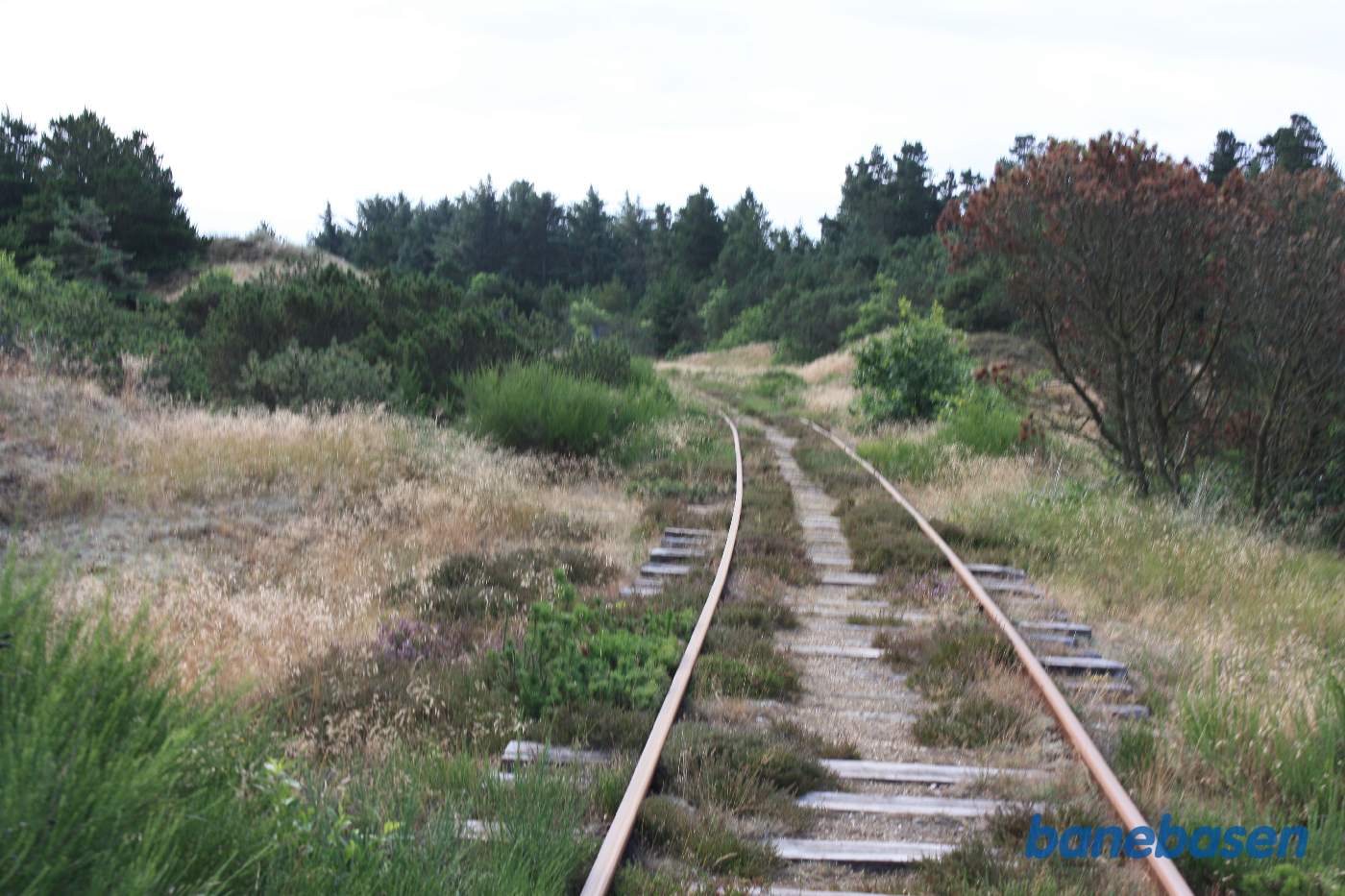 Den store kurve på strækningen lige efter Nymindegab på vej mod Varde Den store kurve på strækningen lige efter Nymindegab på vej mod Varde