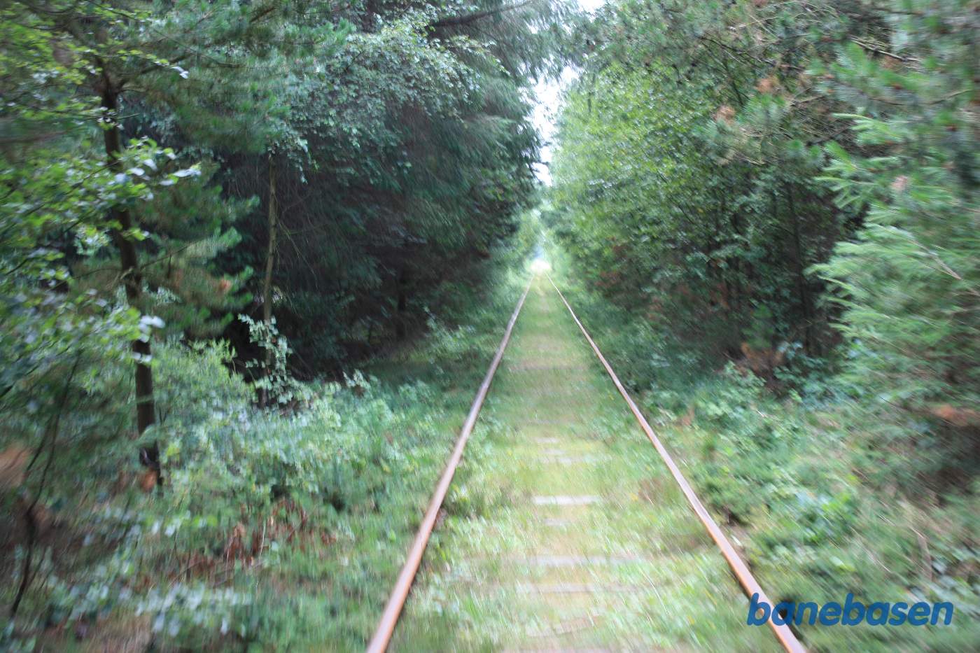 Vi fortsætter cykelturen gennem skoven i retning mod Nørre Nebel - lidt rystet på grund af farten på skinnecyklen Vi fortsætter cykelturen gennem skoven i retning mod Nørre Nebel - lidt rystet på grund af farten på skinnecyklen