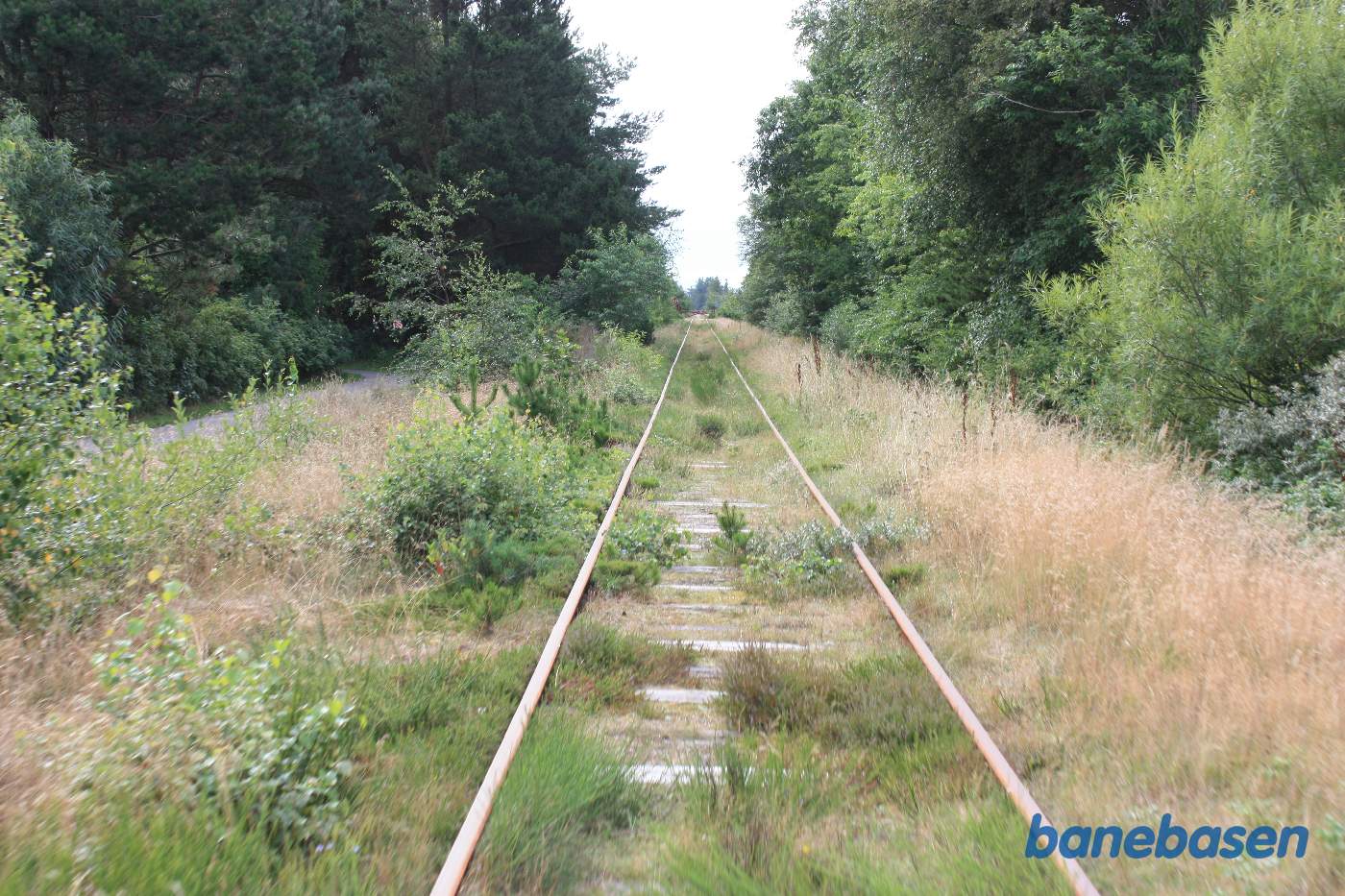 Vi nærmer os den næste vej, vi skal krydse Vi nærmer os den næste vej, vi skal krydse