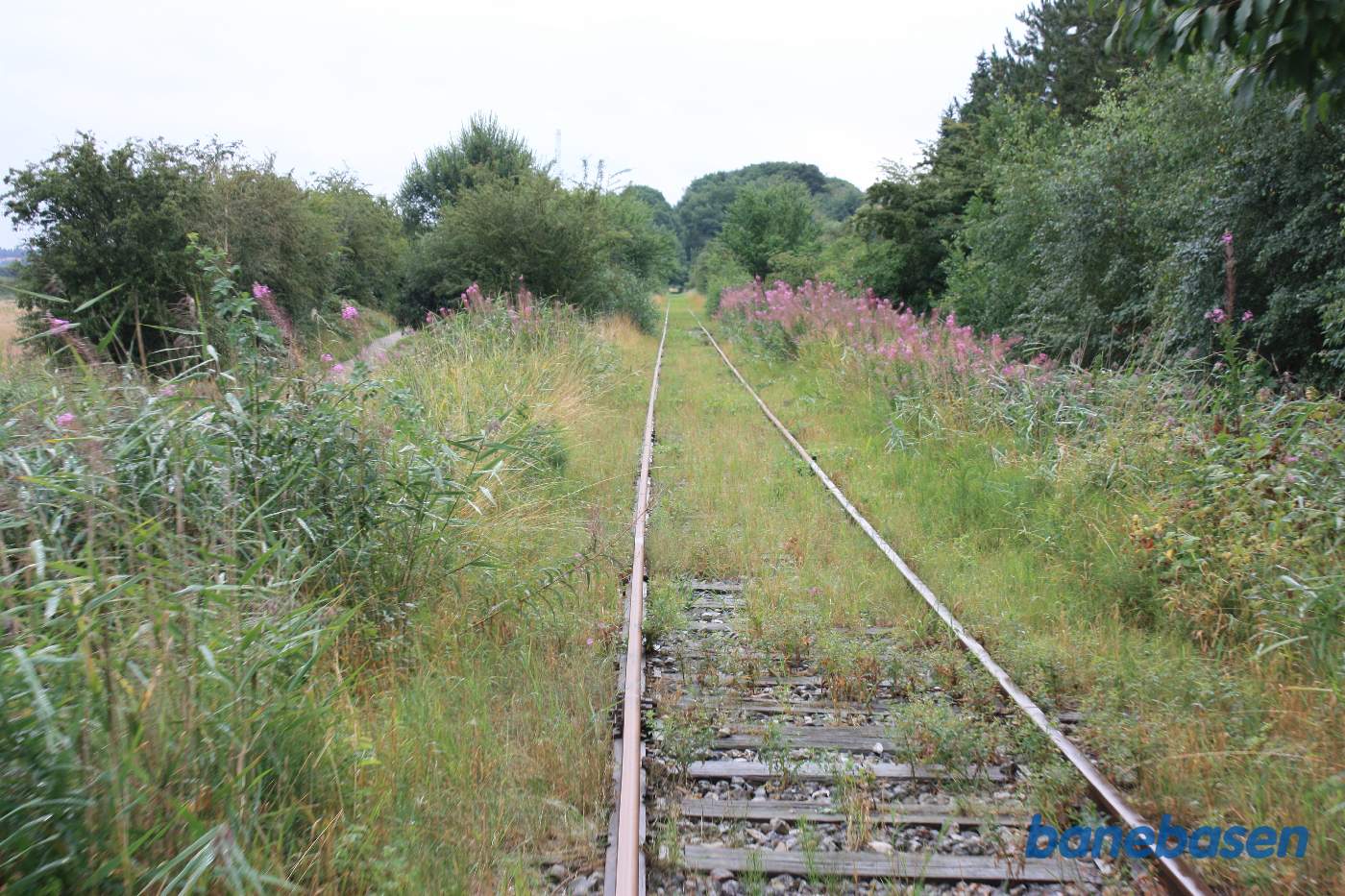 Banen med flotte røde planter på begge sider og med lille sti til venstre, vi kigger mod Grenå