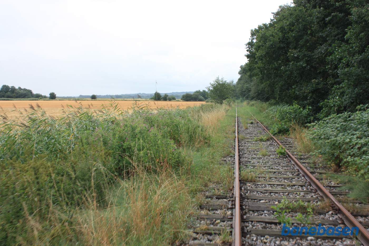 Vi har marker til venstre og længere ude Gudenåen med sivskove