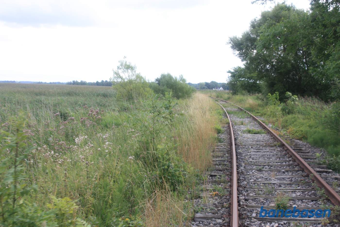 Banen fortsætter i en blød venstre kurve med store sivskove og Grund Fjord ude til venstre