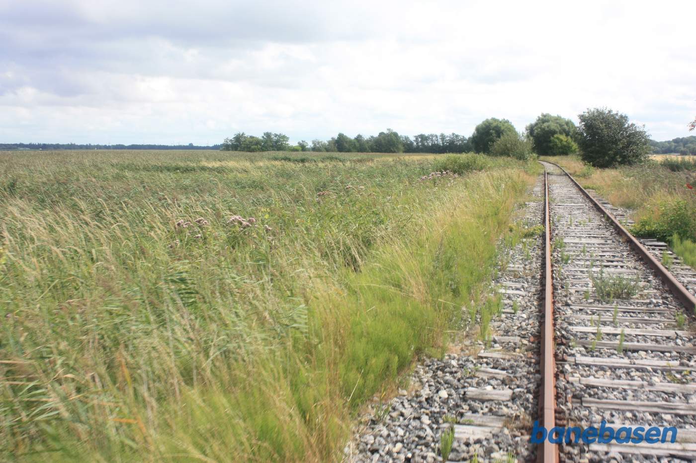 Banen fortsætter i en blød venstre kurve med store sivskove og Grund Fjord ude til venstre