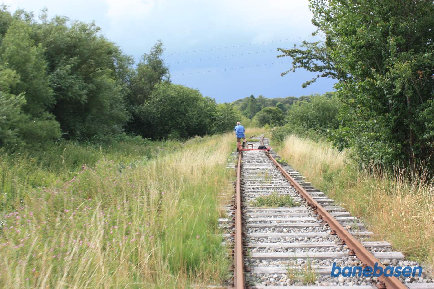 I den frodige ådal er der mange vilde planter og buske