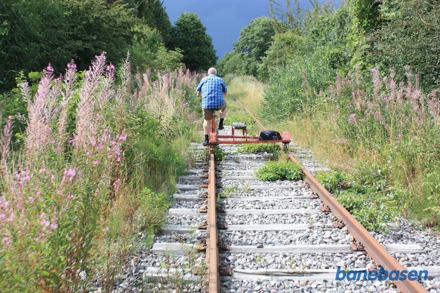 I den frodige ådal er der mange vilde planter og buske. Nu gælder det om at trampe godt i pedalerne, så vi når tilbage inden regnen kommer