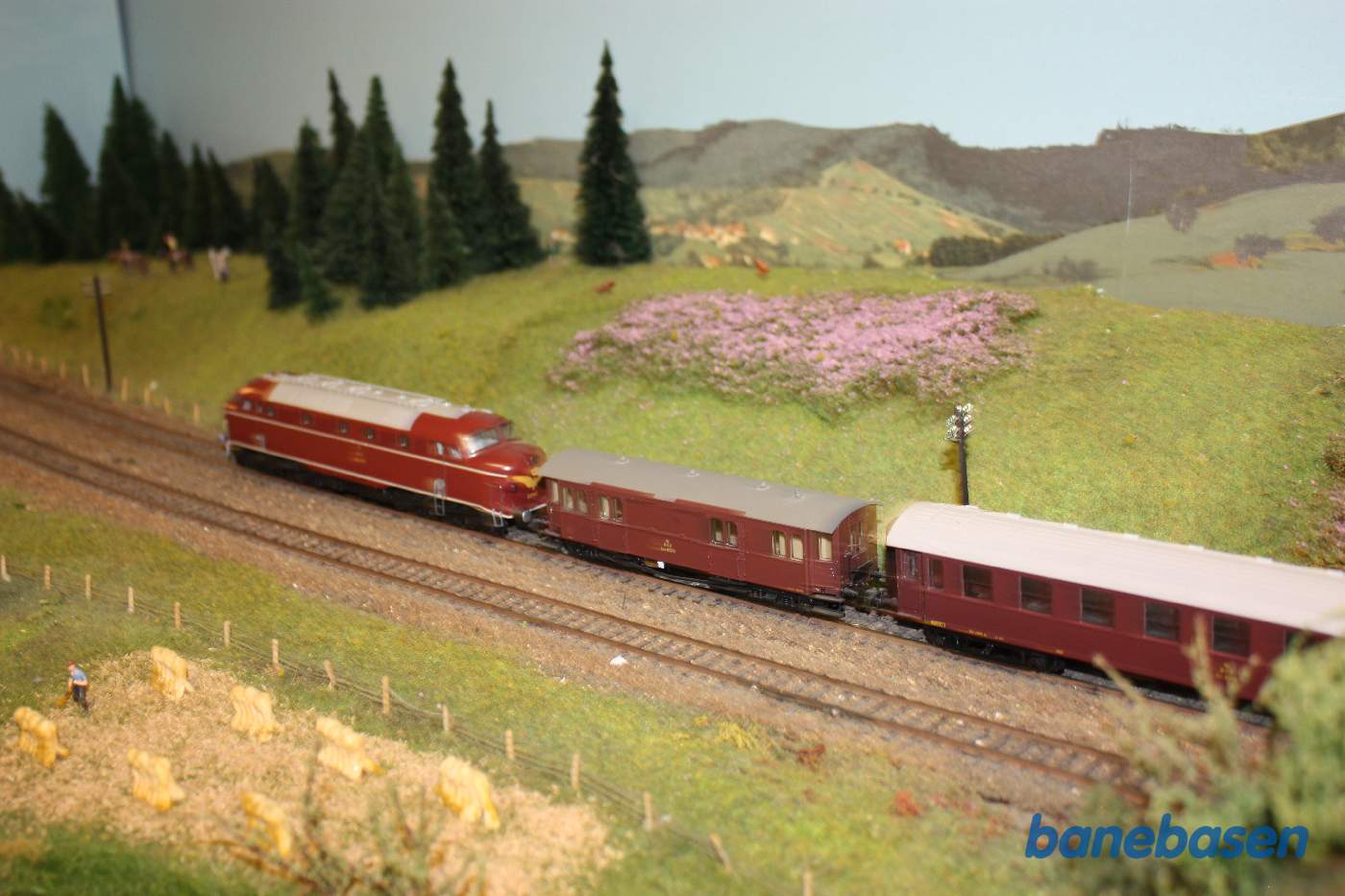 My 1200 på vej ud af strækningen med persontog