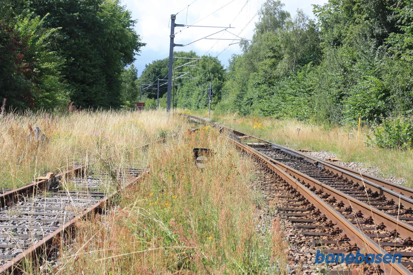 Sporet til venstre går ind til Djurslands Jernbanemuseum. Vi kigger i retning mod Aarhus