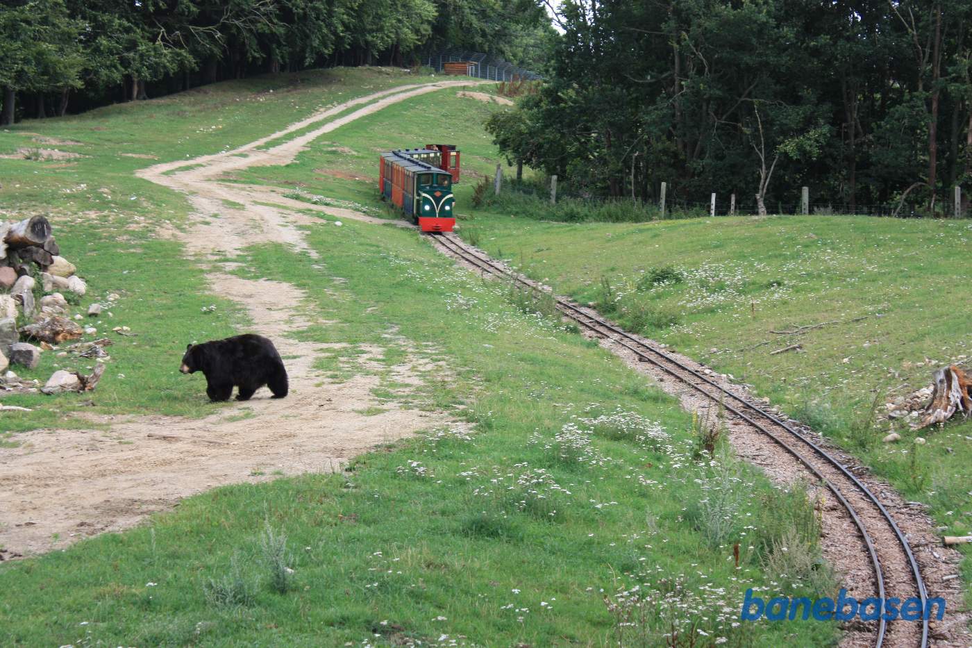 Så nu kommer toget, men bjørnen er heldigvis kommet væk fra sporet