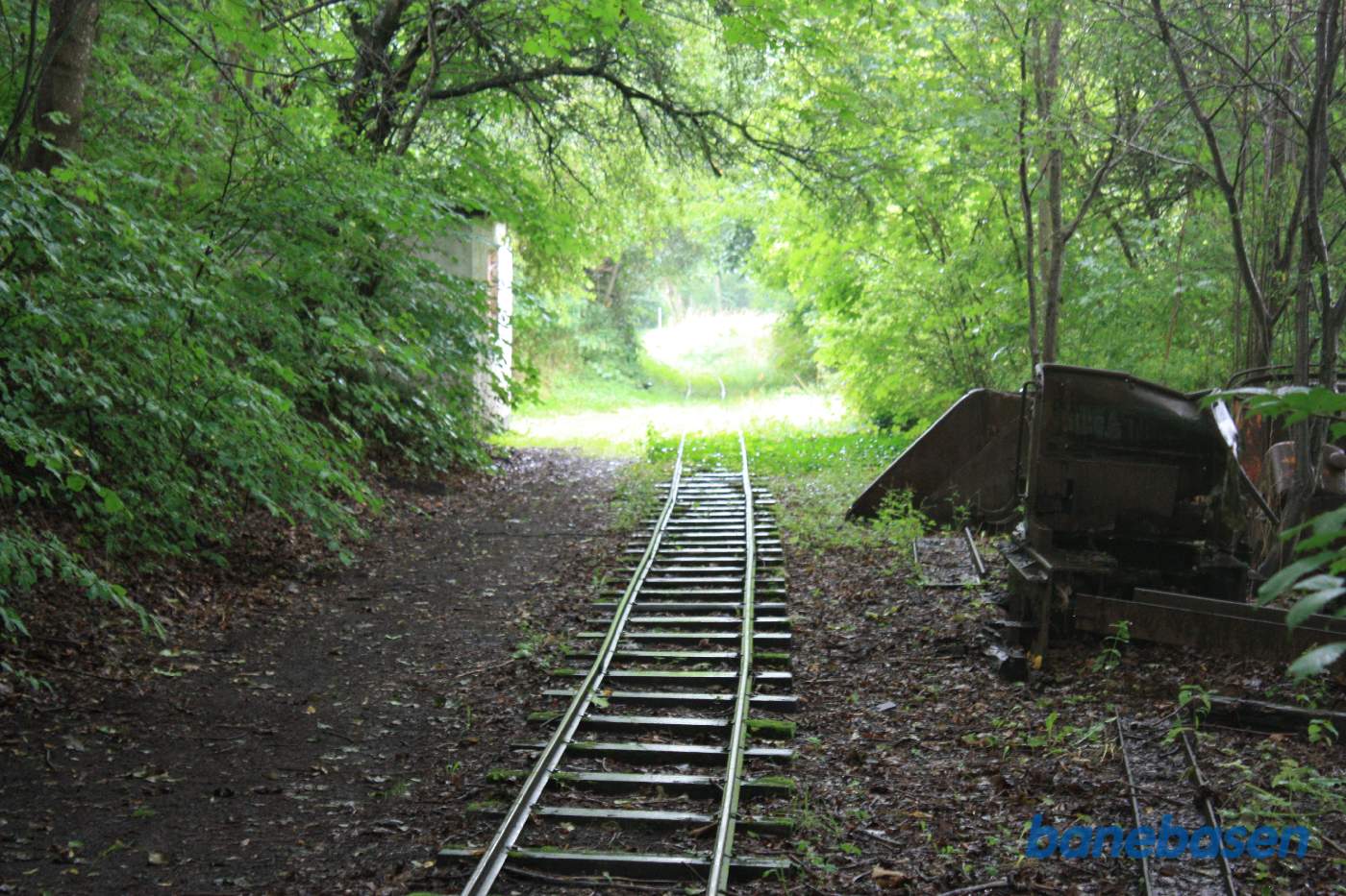 Hovedsporet fortsætter ind gennem bevoksningen