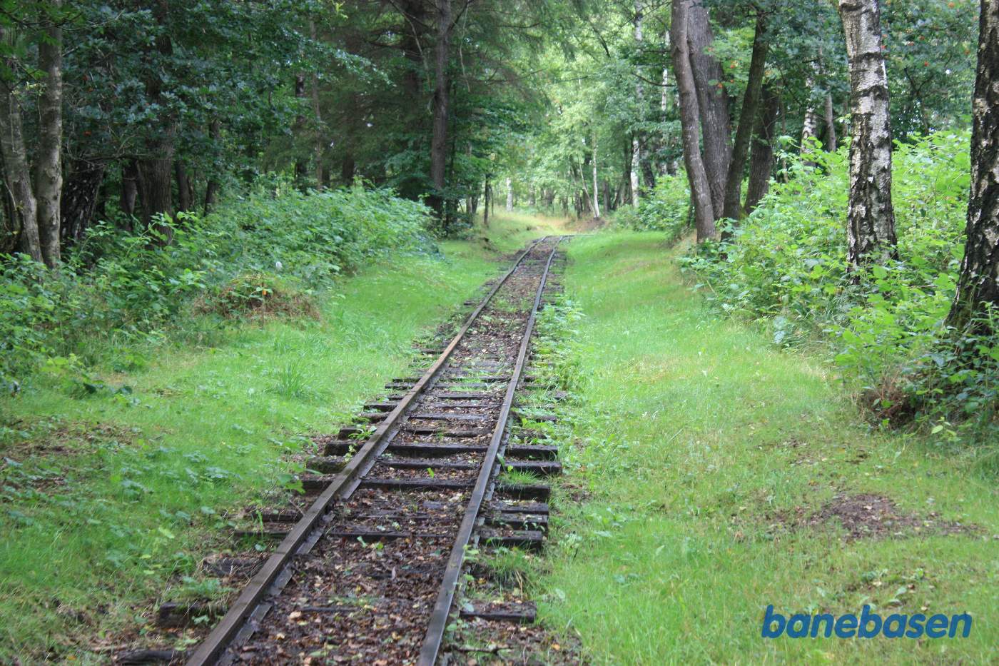 Vi står i hovedsporet og kigger ud mod mosen