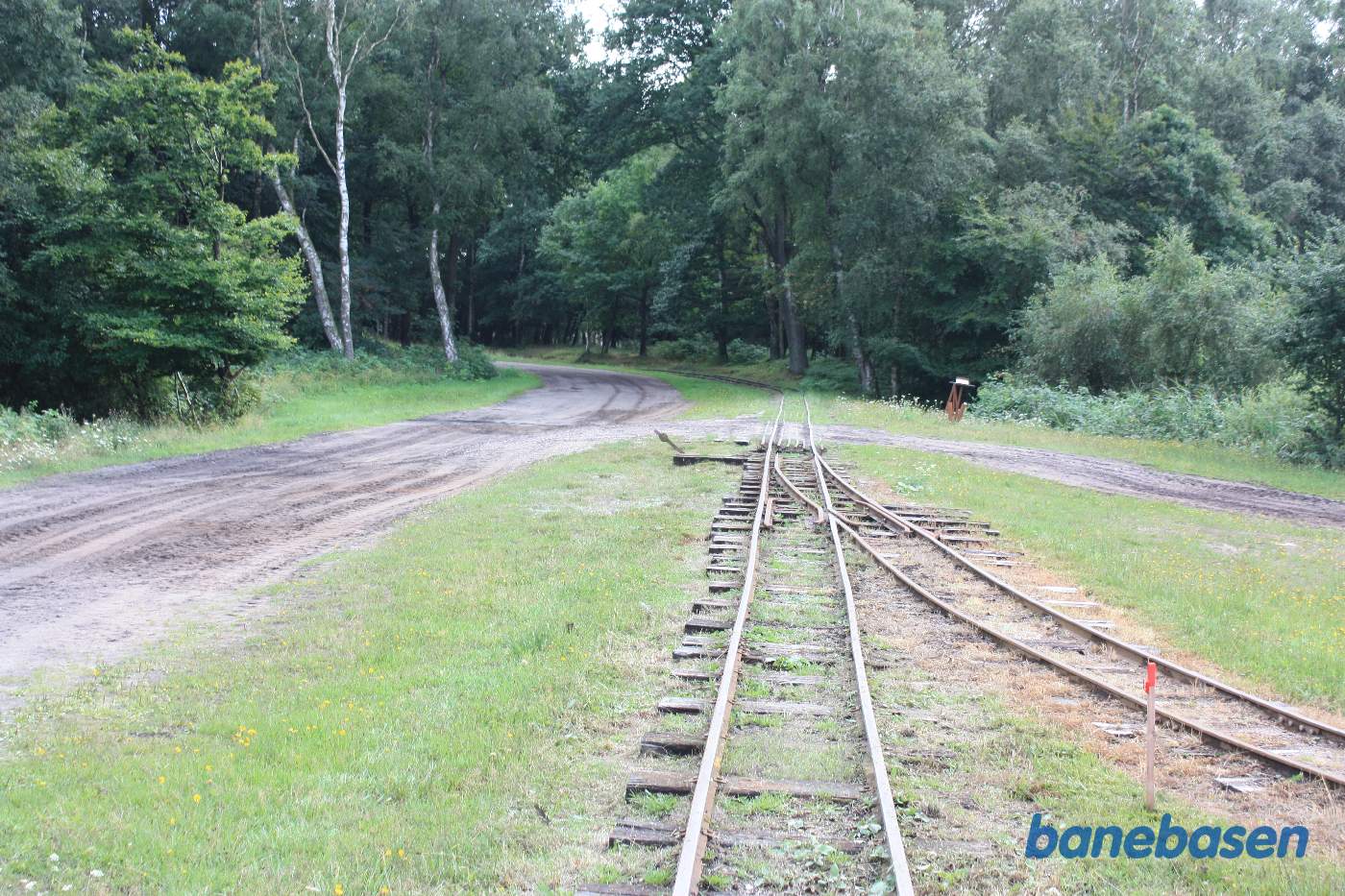 Forgreningen, set ude fra mosen Forgreningen, set ude fra mosen