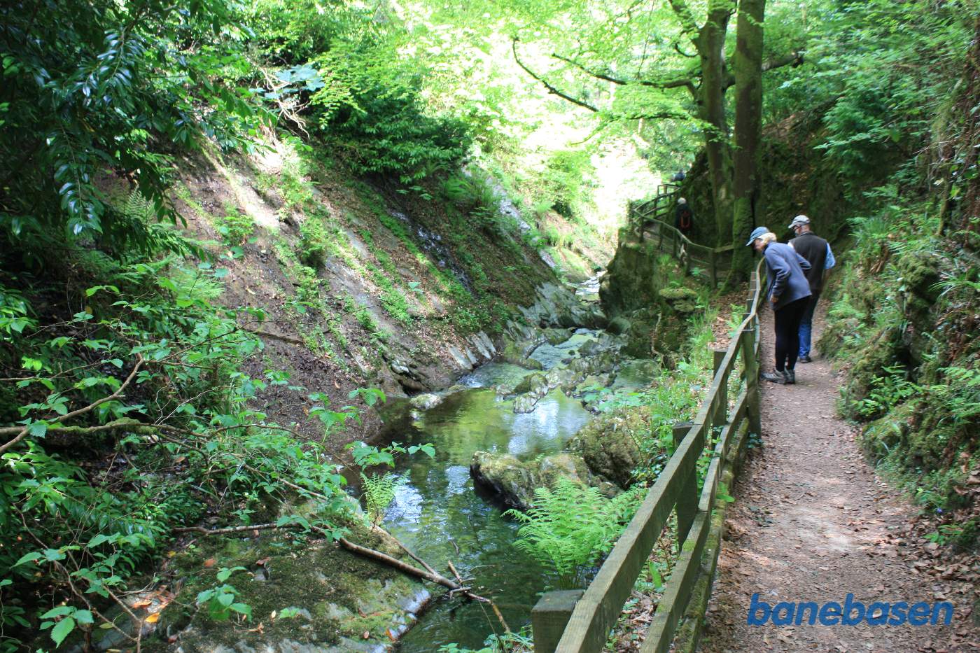 Stien fra sporvejsstationen til jernbanestationen går gennem en flot og frodig slugt