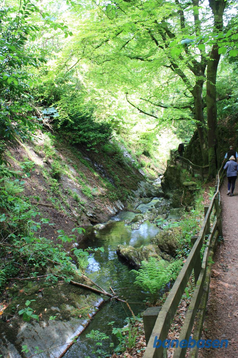 Stien fra sporvejsstationen til jernbanestationen går gennem en flot og frodig slugt