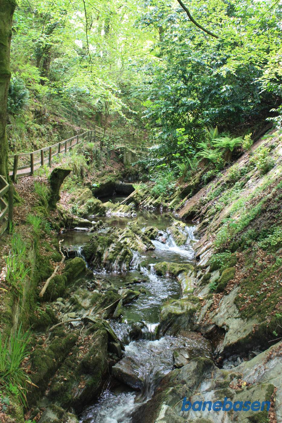 Stien fra sporvejsstationen til jernbanestationen går gennem en flot og frodig slugt