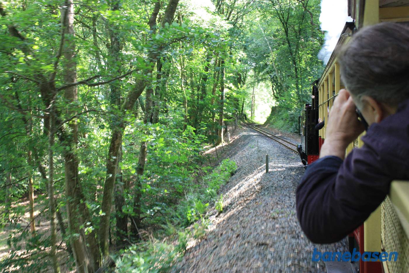 Damptoget på vej opad gennem skoven