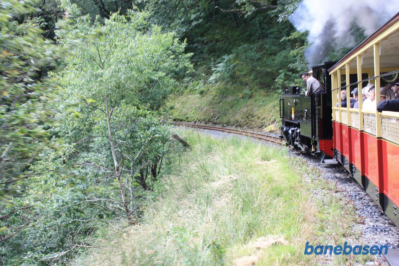 Damptoget på vej opad gennem skoven