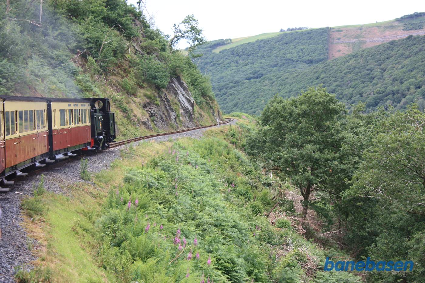 Udsigten fra damptoget ud over dalen