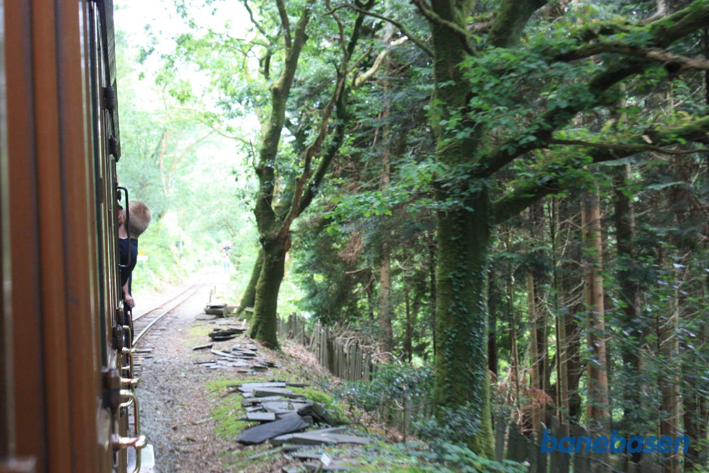 Damptoget et sted på strækningen fra Abergynolwyn til Tywyn Wharf