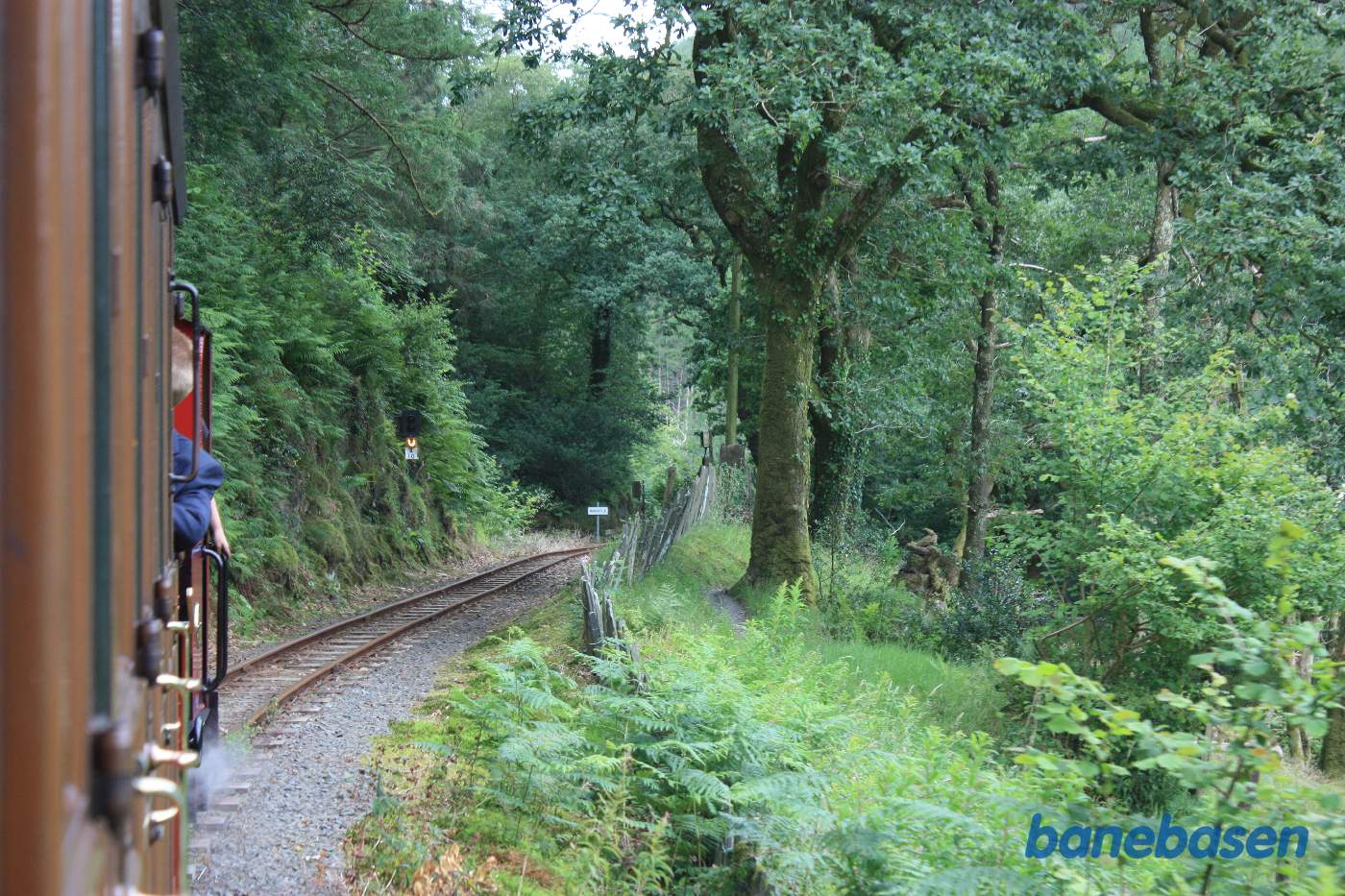 Damptoget et sted på strækningen fra Abergynolwyn til Tywyn Wharf