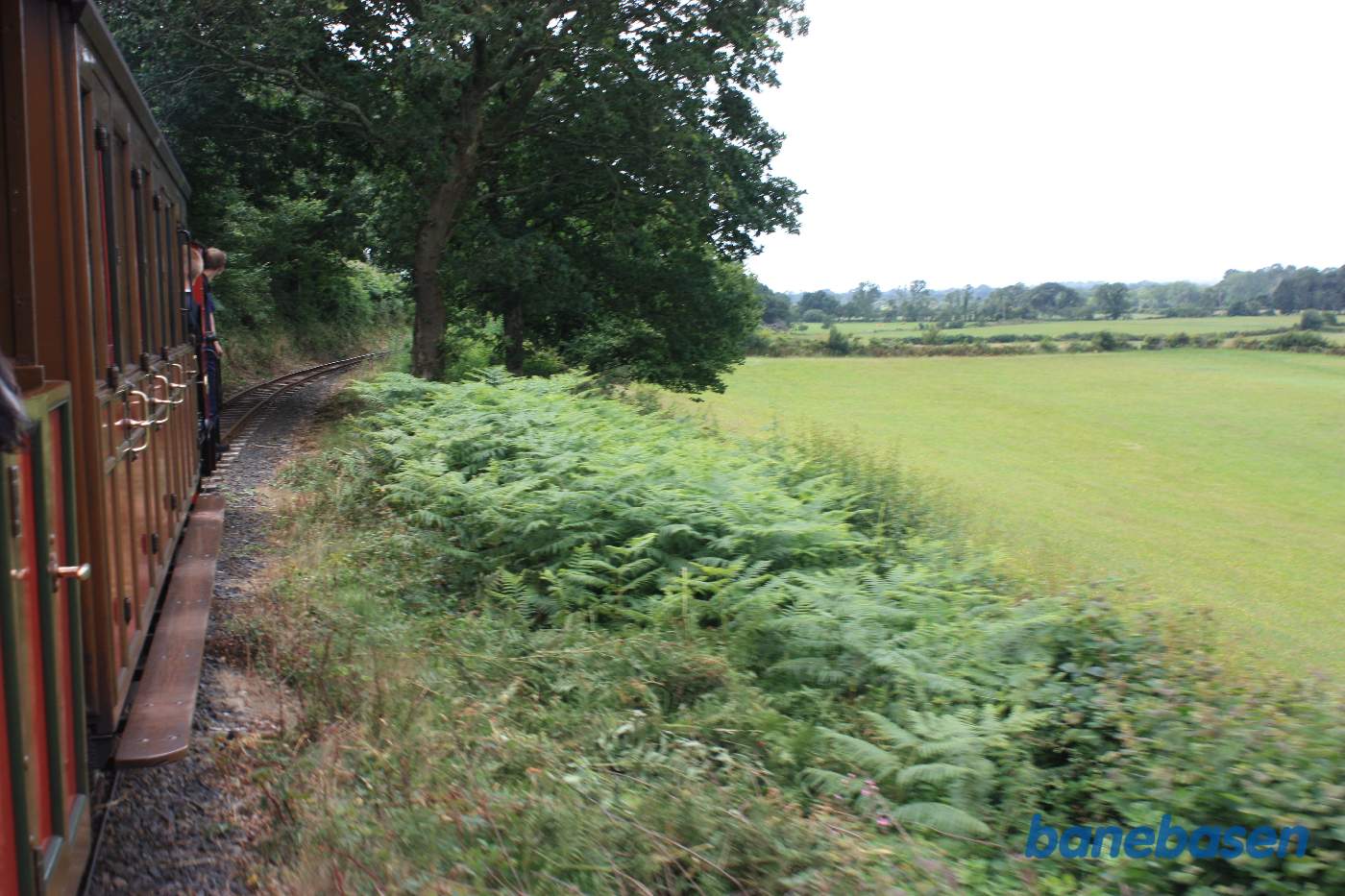 Damptoget et sted på strækningen fra Abergynolwyn til Tywyn Wharf