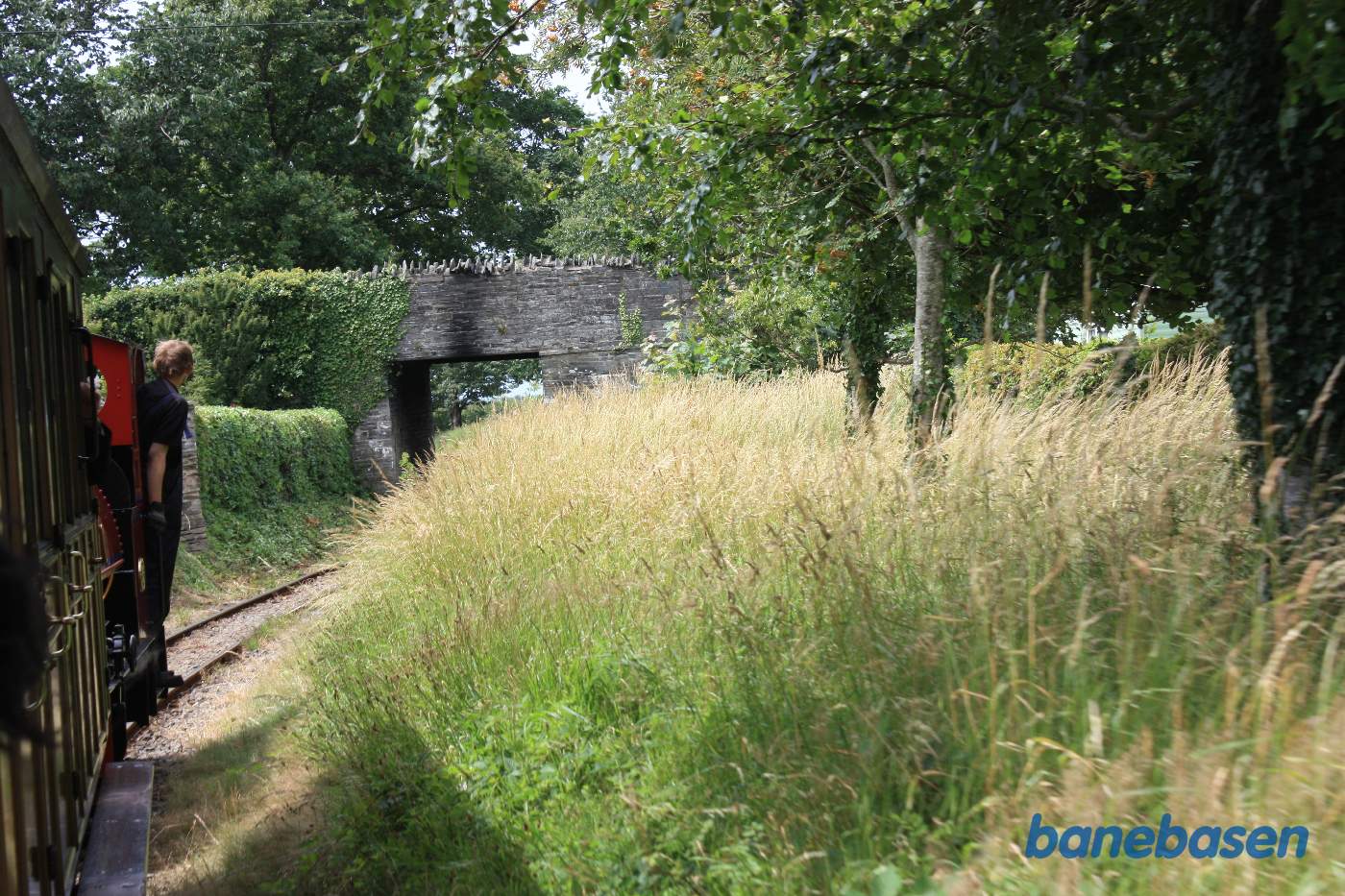Damptoget et sted på strækningen fra Abergynolwyn til Tywyn Wharf, på vej ind under en stenbro