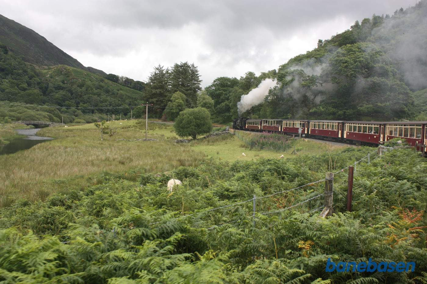 Toget kører gennem det flotte landskab