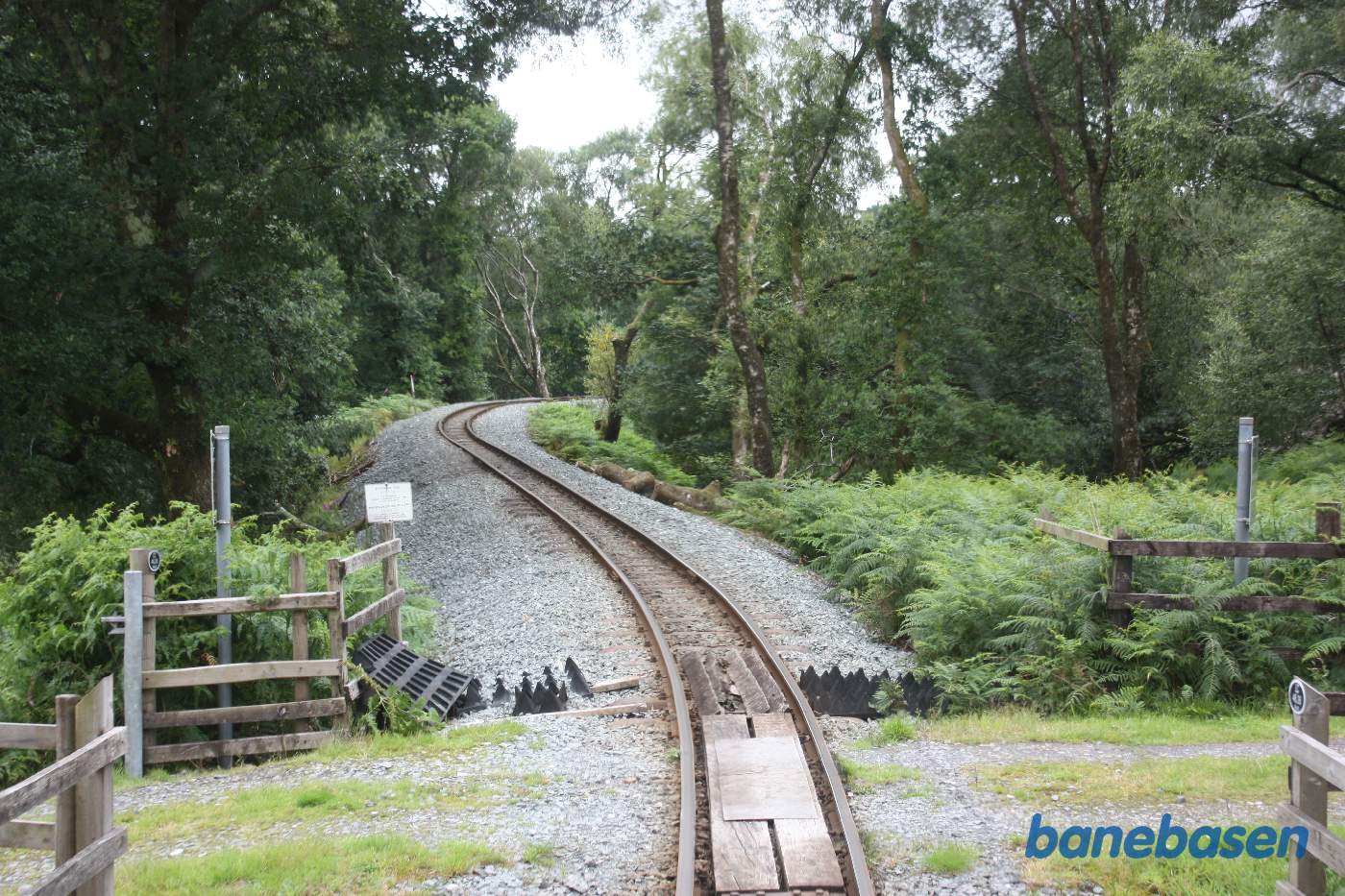 Vi kører på strækningen mellem Meillionen og Beddgelert