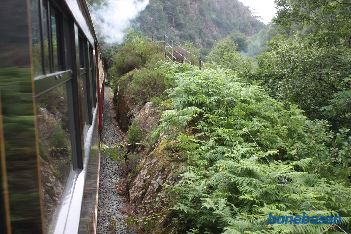 Bevoksning tæt op ad toget