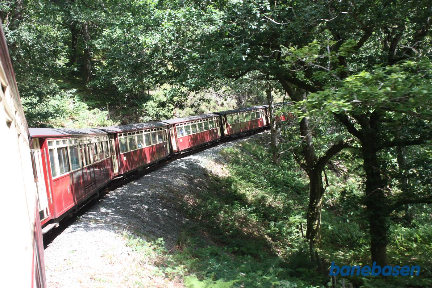 Den nye skovstrækning lige efter stationen
