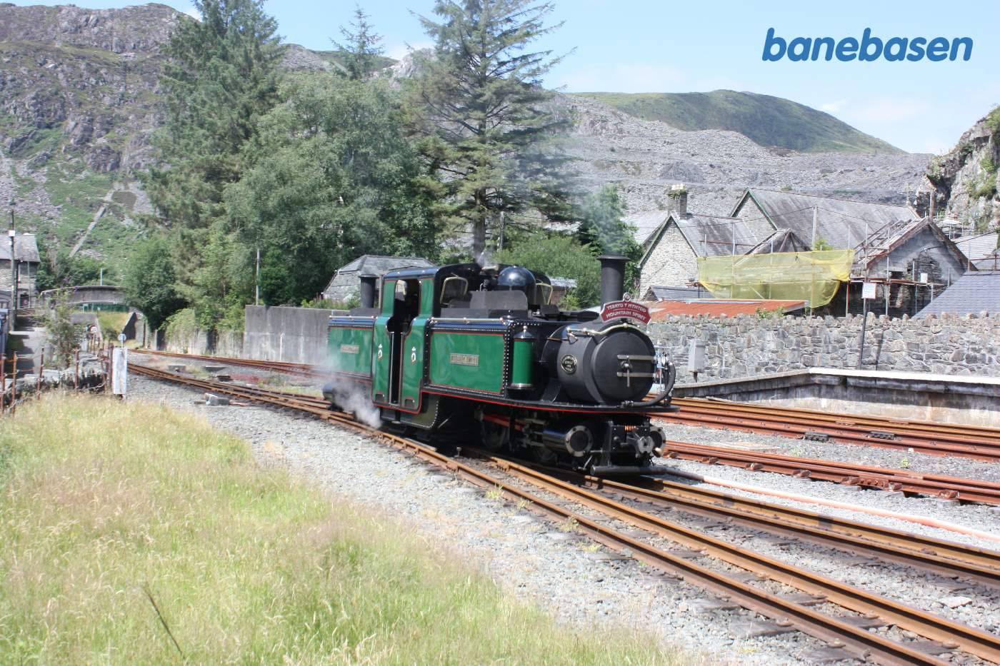 Det grønne double fairlie locomotive rangerer til vognene