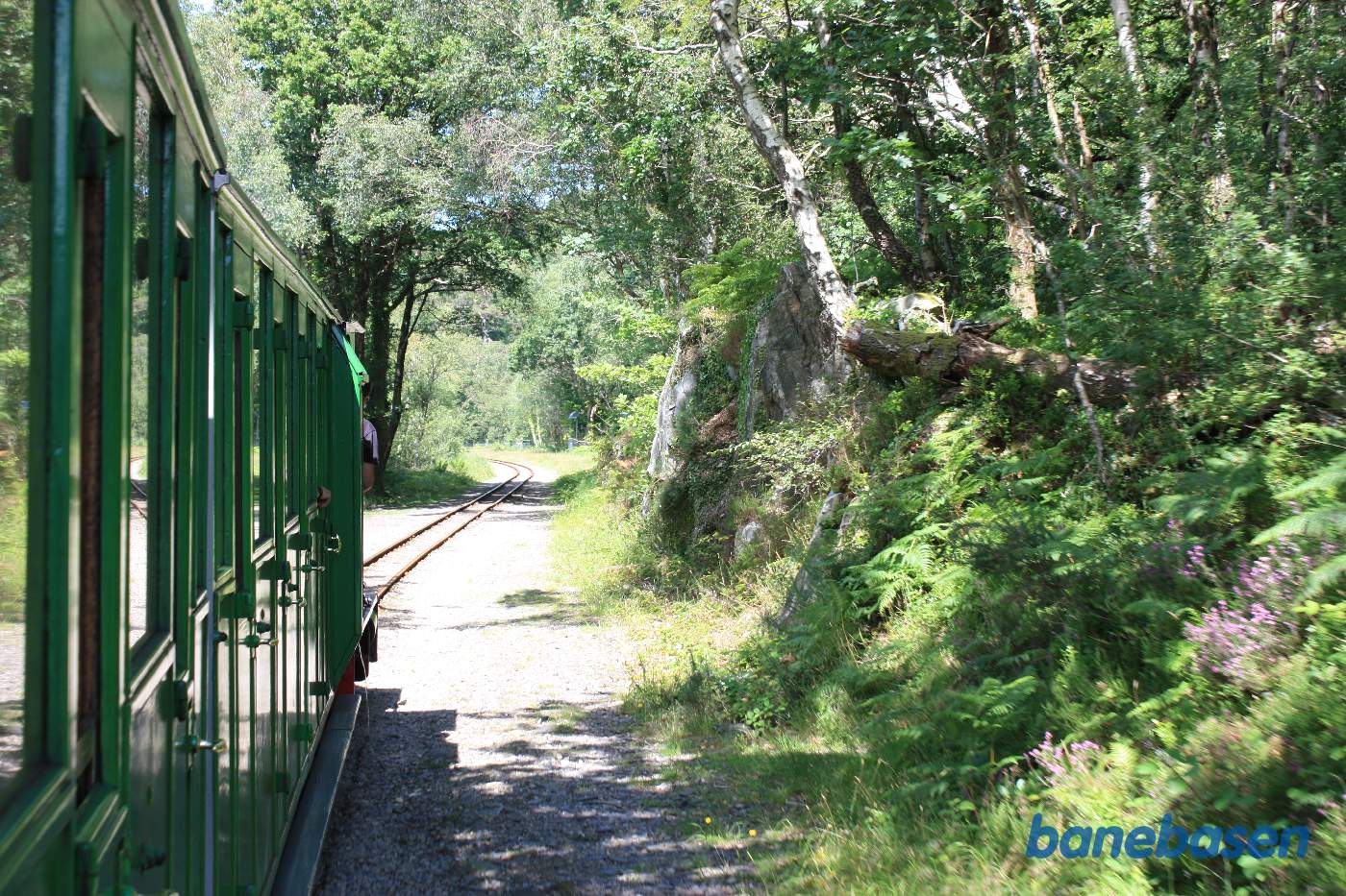 Der er nu skov på begge sider af banen