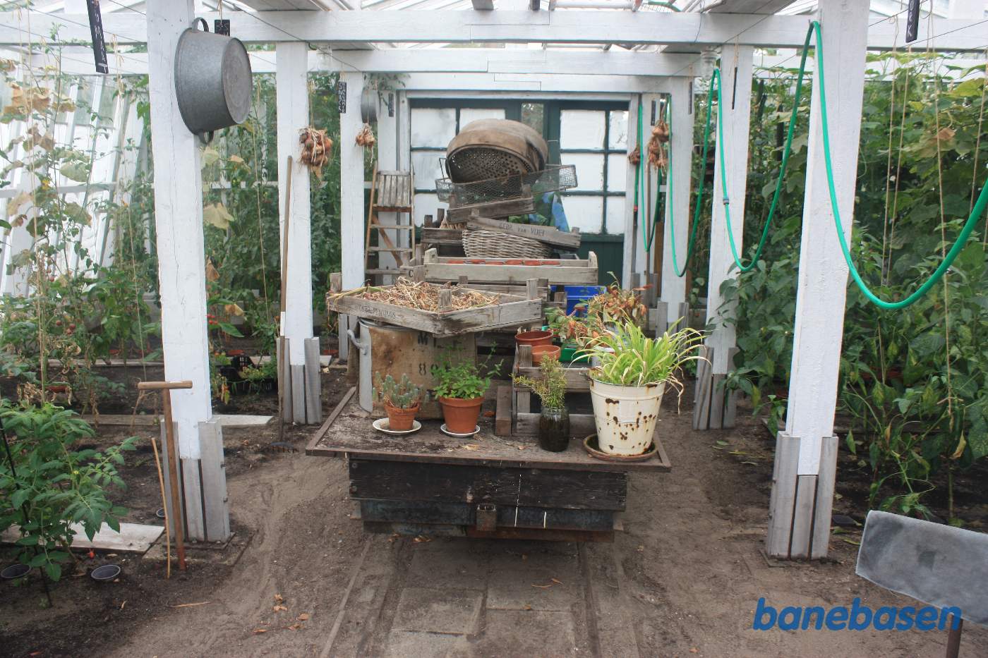 Banen gik ind i drivhuset