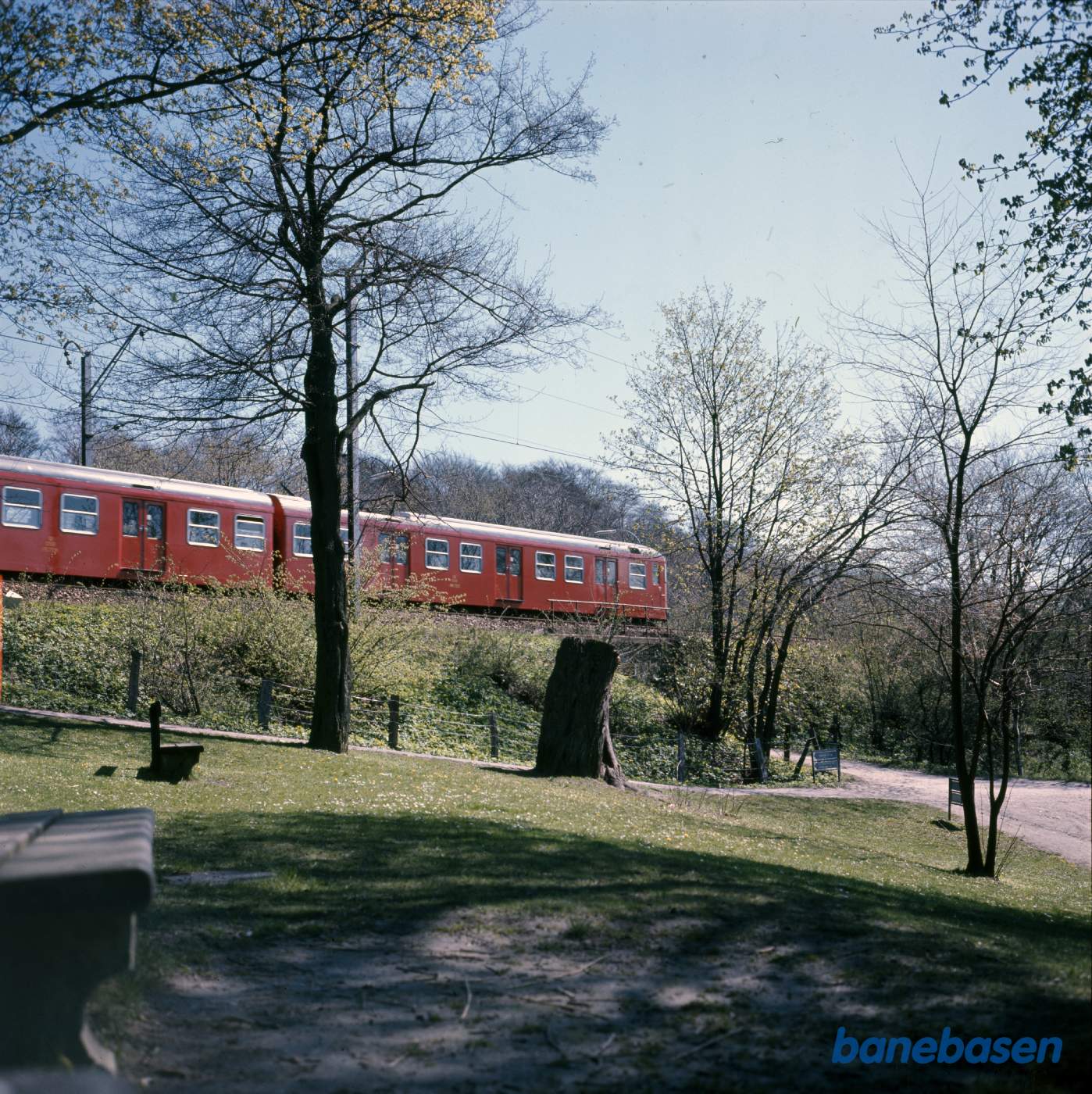 S-tog i skovområde