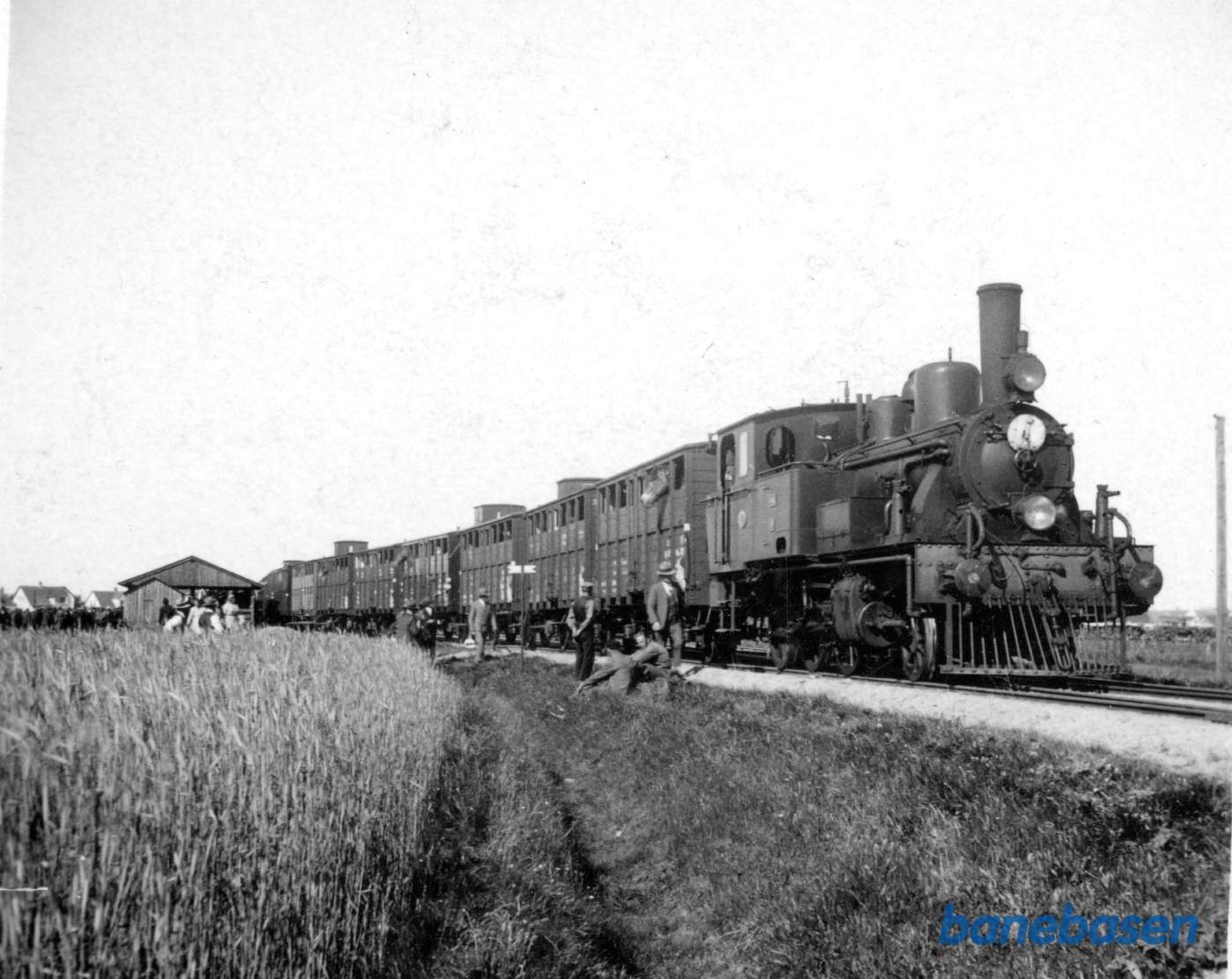 Særtog (80 aksler) for kvægtransporter m.v.- Særtog (80 aksler) for kvægtransporter m.v.-